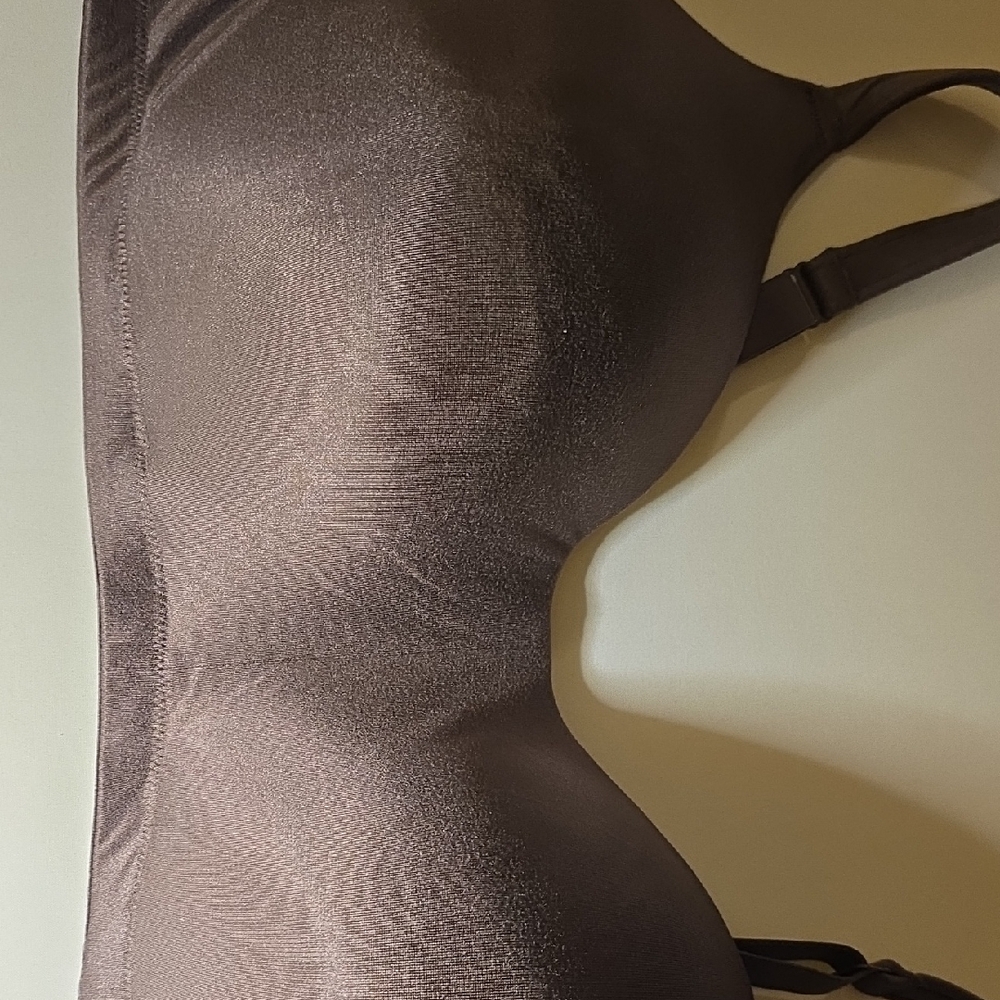 Cacique Brown Women's Bra
